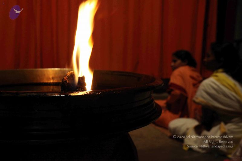 File:20091216IMG 2654 CMP WM001.jpg