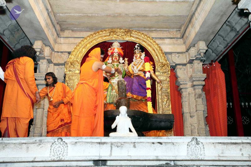 File:20091216IMG 2680 CMP WM001.jpg