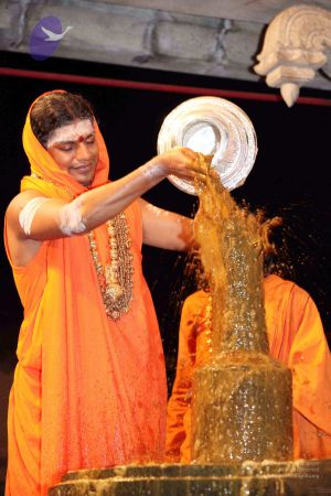 20091216IMG 2683 CMP WM001.jpg