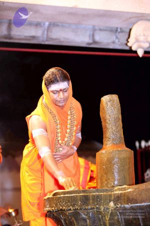 20091216IMG 2685 CMP WM001.jpg