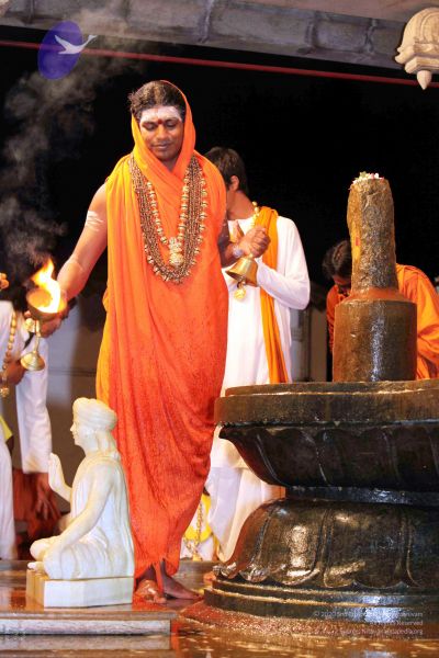 File:20091216IMG 2688 CMP WM001.jpg