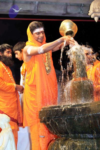 File:20091216IMG 2694 CMP WM001.jpg