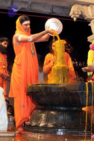 20091216IMG 2697 CMP WM001.jpg