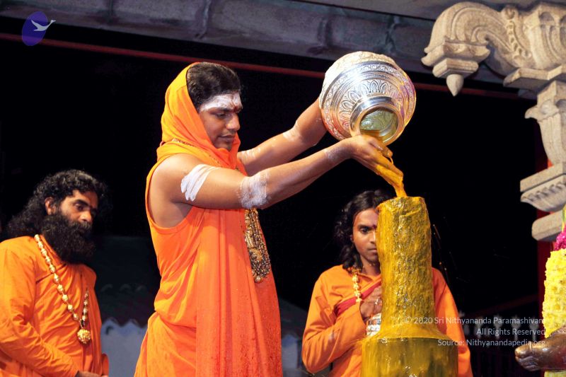 File:20091216IMG 2698 CMP WM001.jpg