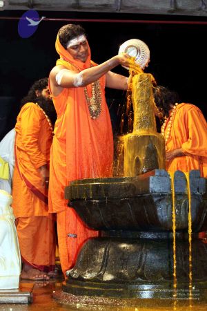 20091216IMG 2701 CMP WM001.jpg