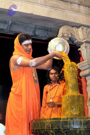 20091216IMG 2702 CMP WM001.jpg