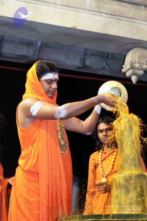 20091216IMG 2705 CMP WM001.jpg