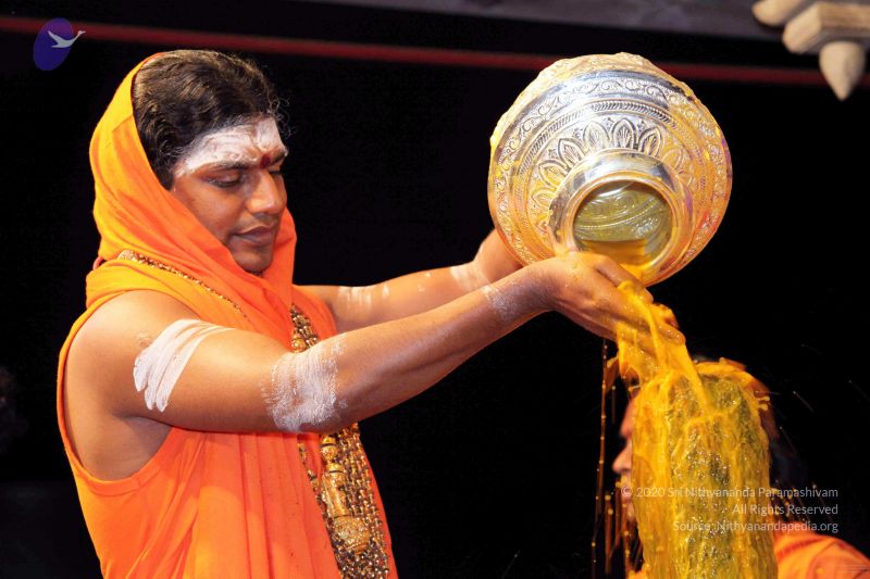 File:20091216IMG 2707 CMP WM001.jpg