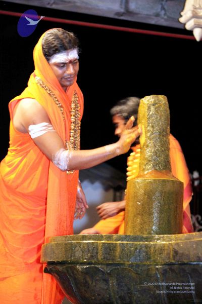 File:20091216IMG 2709 CMP WM001.jpg