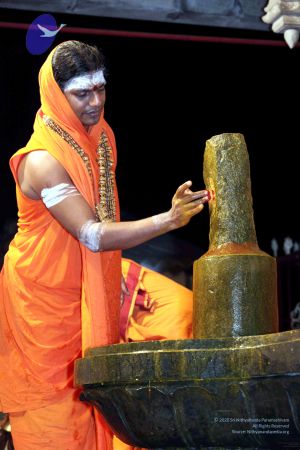 20091216IMG 2710 CMP WM001.jpg