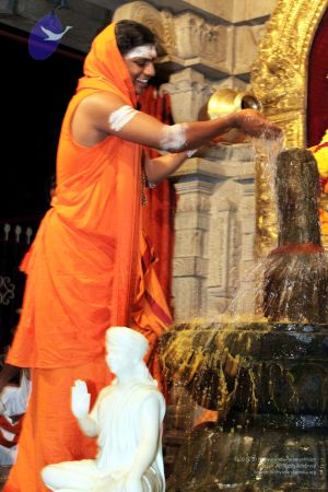 20091216IMG 2714 CMP WM001.jpg