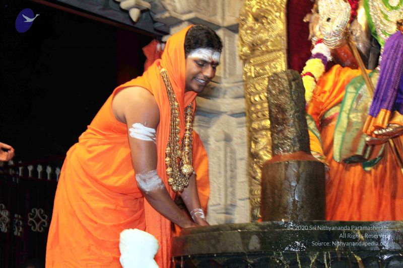 File:20091216IMG 2716 CMP WM001.jpg