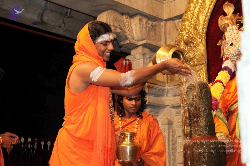 File:20091216IMG 2718 CMP WM001.jpg