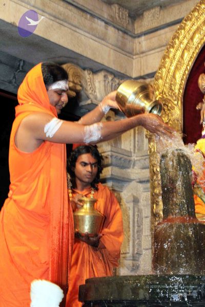 File:20091216IMG 2719 CMP WM001.jpg