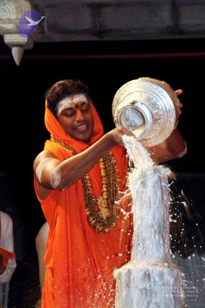 20091216IMG 2720 CMP WM001.jpg