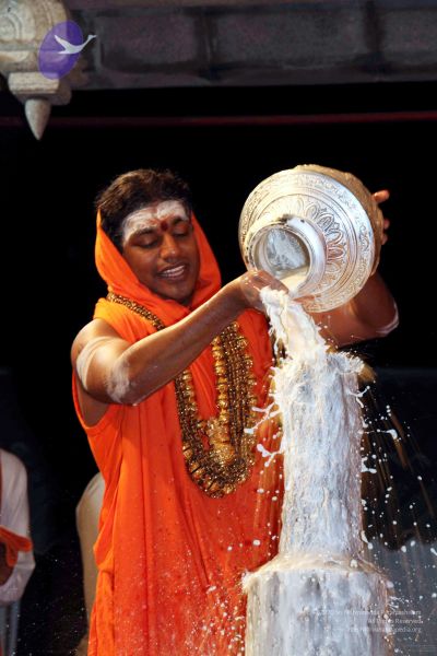 File:20091216IMG 2720 CMP WM001.jpg