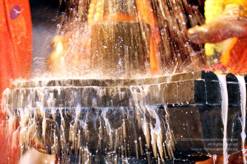 File:20091216IMG 2727 CMP WM001.jpg