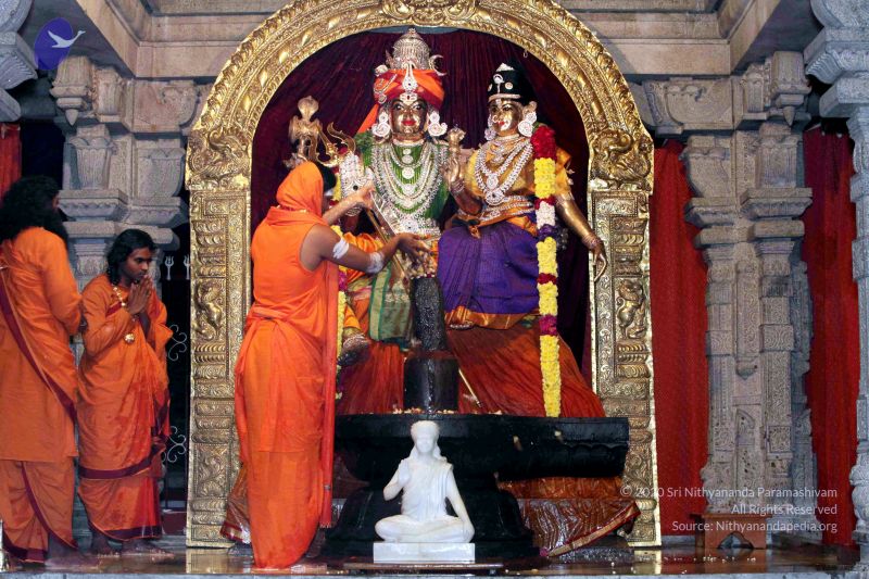 File:20091216IMG 2733 CMP WM001.jpg