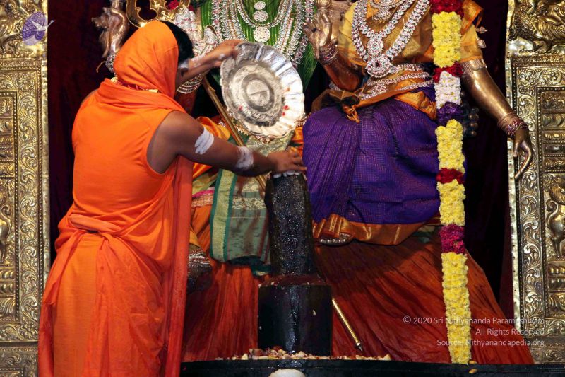 File:20091216IMG 2734 CMP WM001.jpg