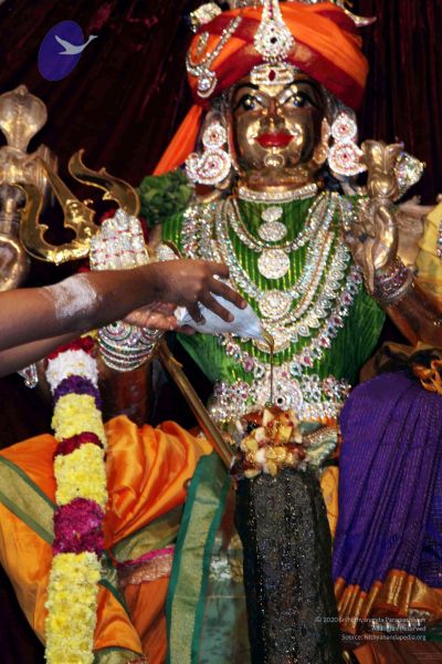 File:20091216IMG 2738 CMP WM001.jpg