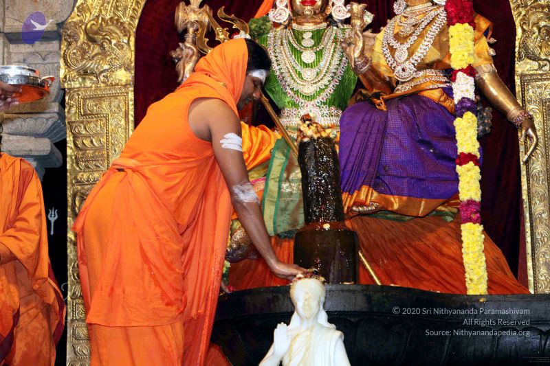 File:20091216IMG 2742 CMP WM001.jpg