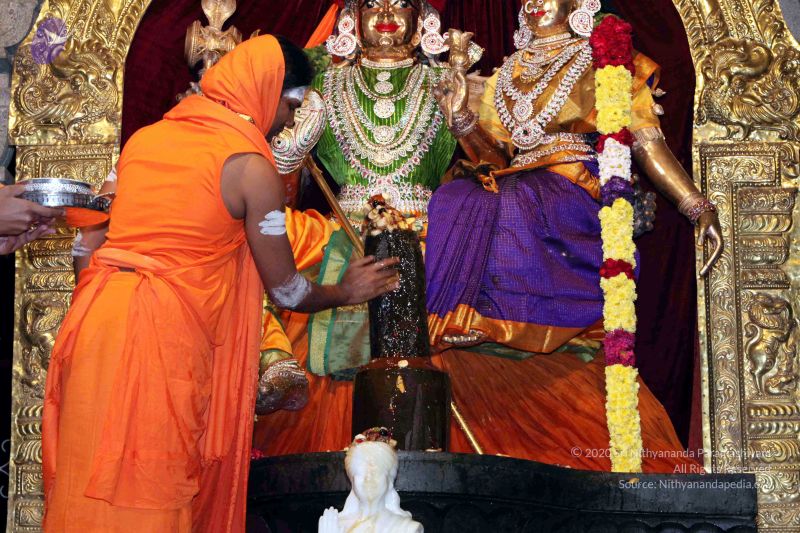 File:20091216IMG 2743 CMP WM001.jpg