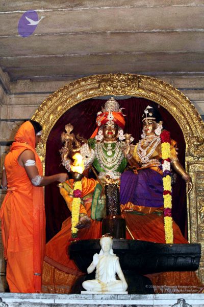 File:20091216IMG 2747 CMP WM001.jpg