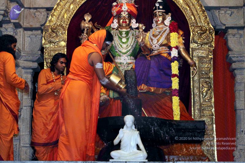 File:20091216IMG 2755 CMP WM001.jpg