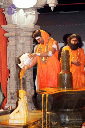 20091216IMG 2758 CMP WM001.jpg