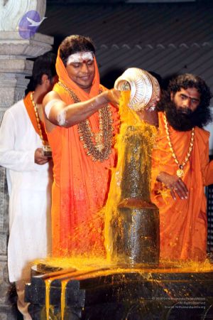 20091216IMG 2759 CMP WM001.jpg