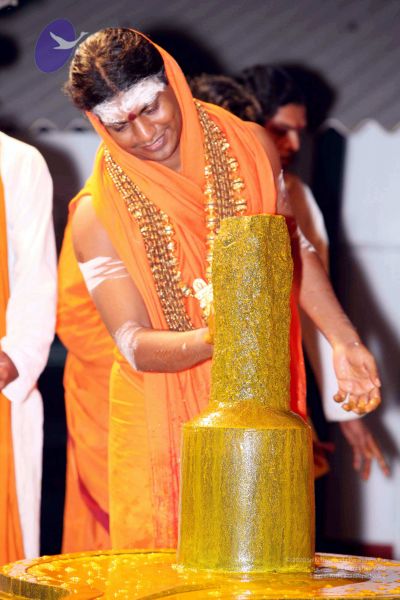 File:20091216IMG 2765 CMP WM001.jpg