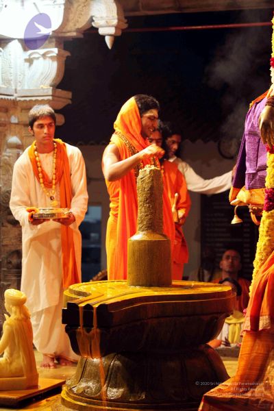 File:20091216IMG 2767 CMP WM001.jpg