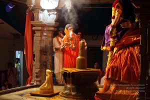 20091216IMG 2770 CMP WM001.jpg