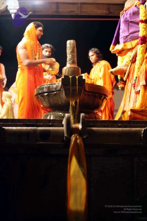 20091216IMG 2772 CMP WM001.jpg