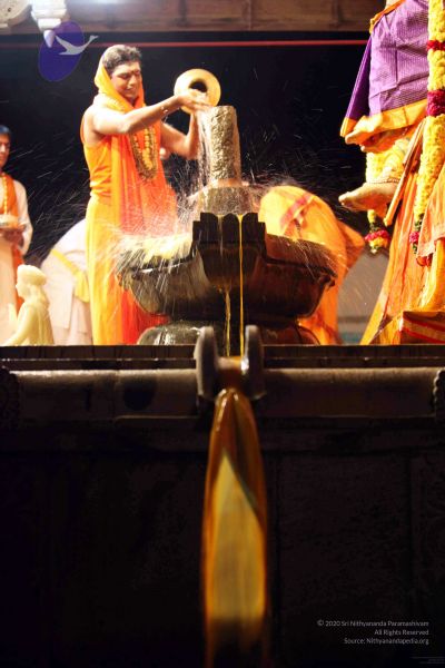 File:20091216IMG 2773 CMP WM001.jpg