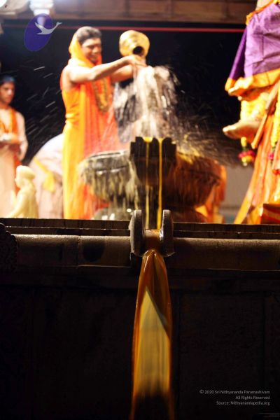 File:20091216IMG 2774 CMP WM001.jpg