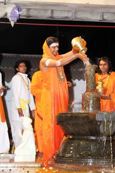 File:20091216IMG 2777 CMP WM001.jpg