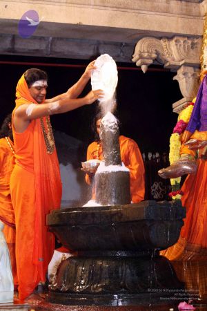 20091216IMG 2786 CMP WM001.jpg