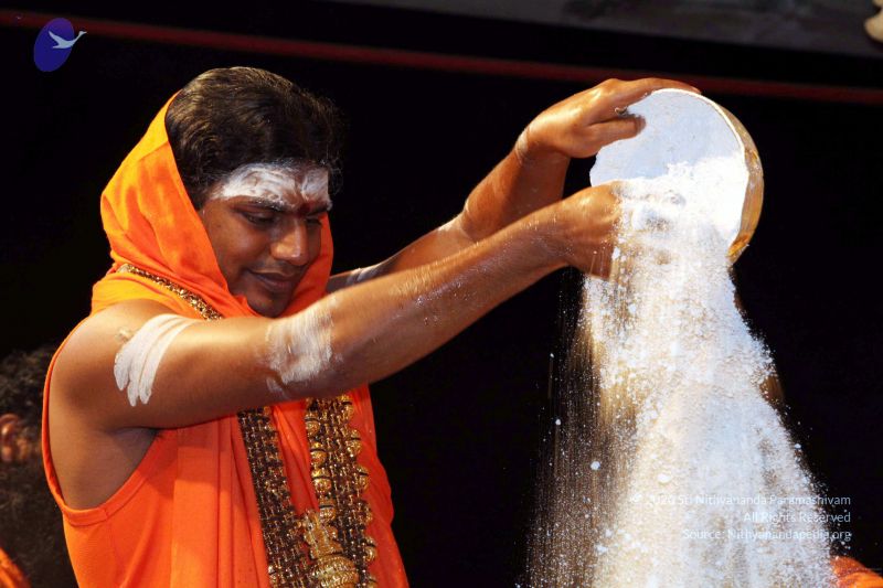 File:20091216IMG 2789 CMP WM001.jpg