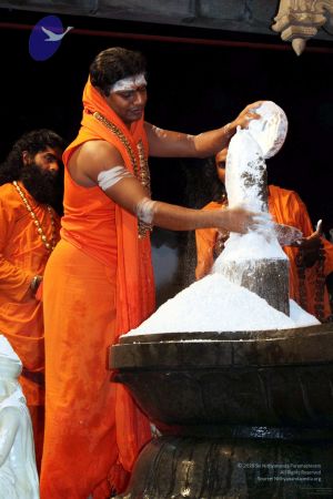 20091216IMG 2803 CMP WM001.jpg