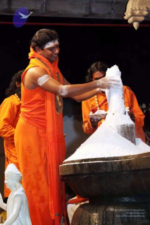 20091216IMG 2807 CMP WM001.jpg