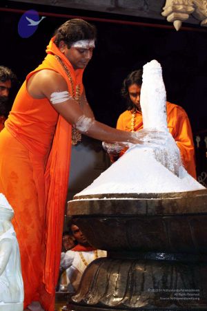 20091216IMG 2809 CMP WM001.jpg