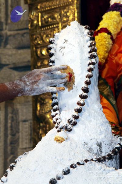 File:20091216IMG 2820 CMP WM001.jpg