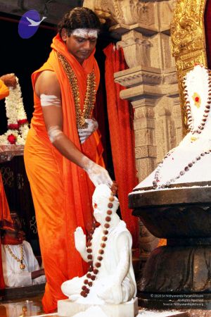 20091216IMG 2821 CMP WM001.jpg