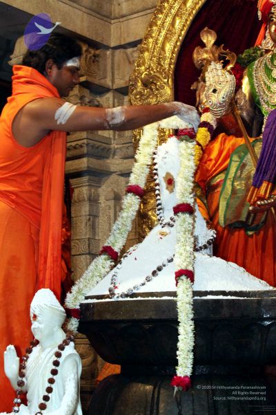 File:20091216IMG 2824 CMP WM001.jpg