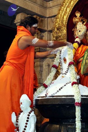 20091216IMG 2825 CMP WM001.jpg