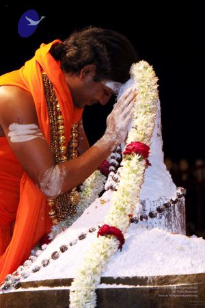 20091216IMG 2829 CMP WM001.jpg