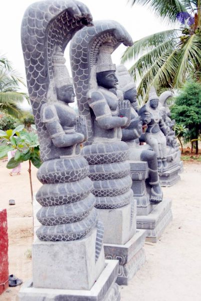 File:20091217 DSC 8800 CMP WM 11.jpg