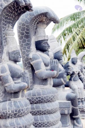 20091217 DSC 8801 CMP WM 11.jpg