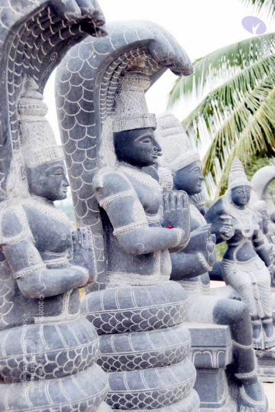 File:20091217 DSC 8801 CMP WM 11.jpg